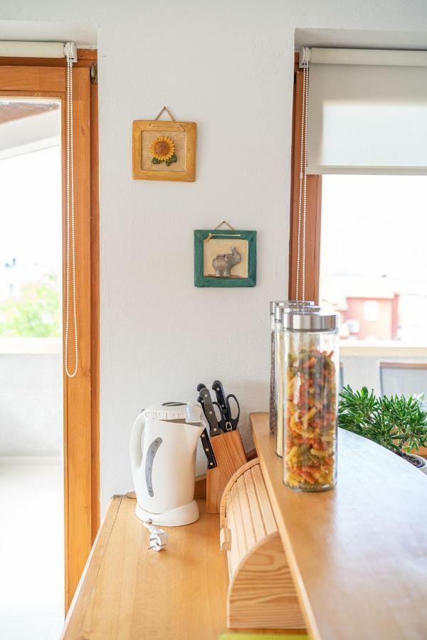 Apartman Skroza 沃迪切 外观 照片